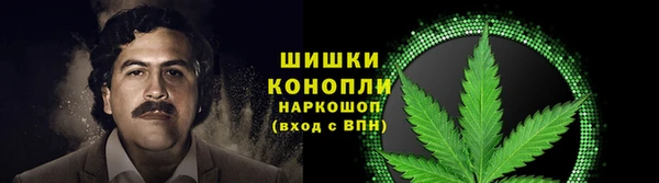 Альфа ПВП Бугульма