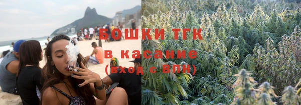spice Богородск