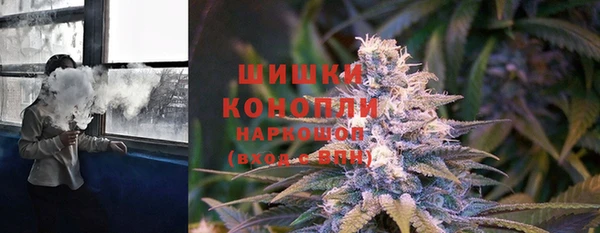 spice Богородск