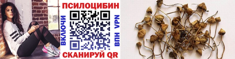 Псилоцибиновые грибы Magic Shrooms  Щучье 
